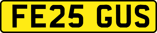 FE25GUS