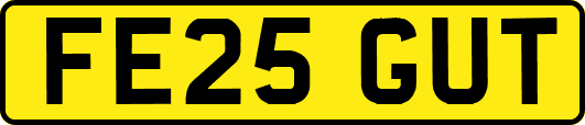 FE25GUT