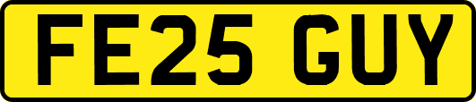 FE25GUY