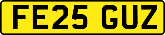 FE25GUZ