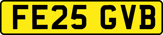 FE25GVB
