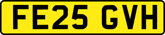FE25GVH