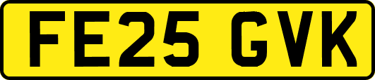 FE25GVK
