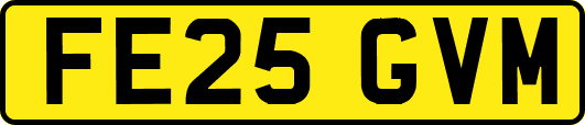 FE25GVM