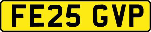 FE25GVP