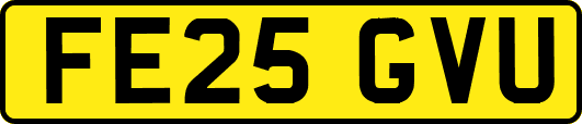 FE25GVU