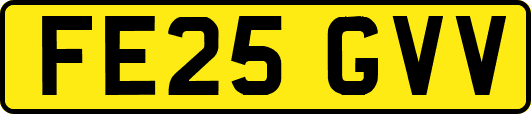 FE25GVV