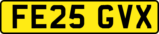 FE25GVX