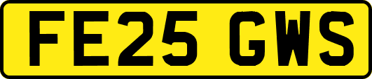 FE25GWS