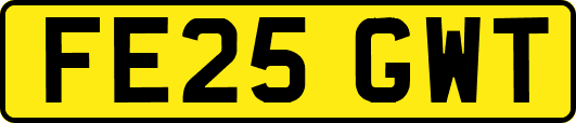 FE25GWT