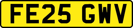 FE25GWV