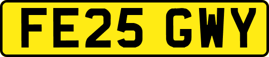 FE25GWY