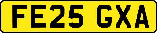 FE25GXA