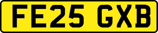 FE25GXB
