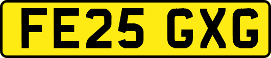 FE25GXG