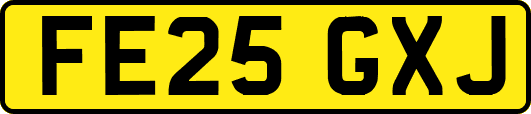 FE25GXJ