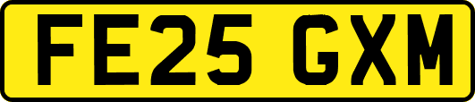 FE25GXM