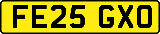 FE25GXO