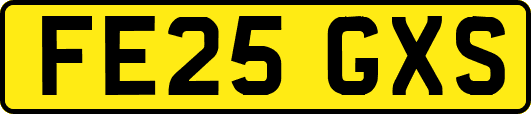 FE25GXS