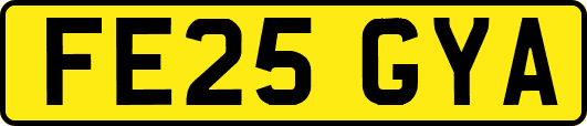 FE25GYA