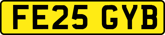 FE25GYB