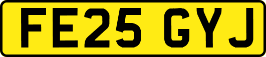 FE25GYJ
