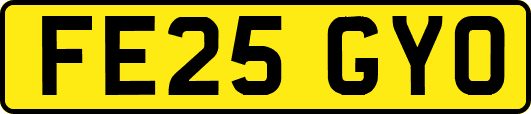 FE25GYO