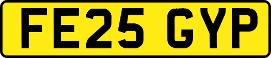 FE25GYP