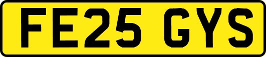 FE25GYS