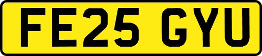 FE25GYU