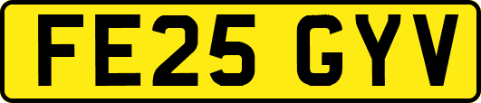 FE25GYV