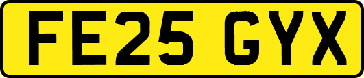 FE25GYX