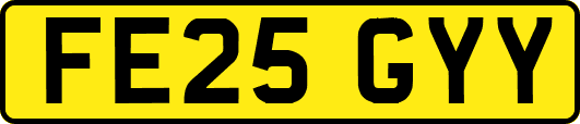 FE25GYY