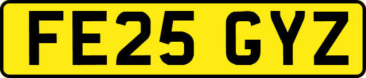 FE25GYZ