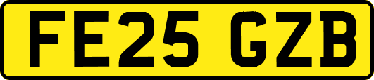 FE25GZB