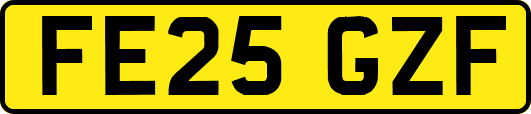 FE25GZF