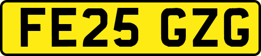 FE25GZG