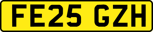 FE25GZH