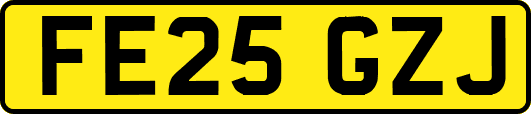 FE25GZJ
