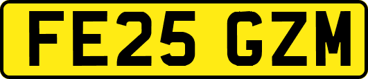 FE25GZM