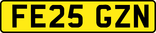 FE25GZN