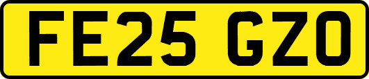 FE25GZO