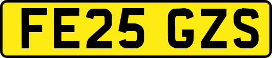 FE25GZS