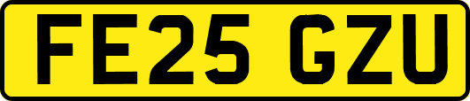 FE25GZU
