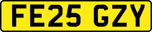FE25GZY