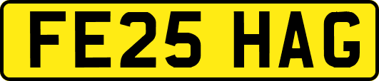 FE25HAG