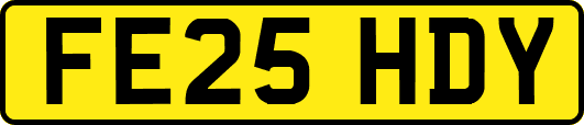 FE25HDY