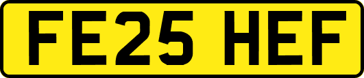 FE25HEF