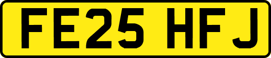 FE25HFJ