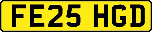 FE25HGD